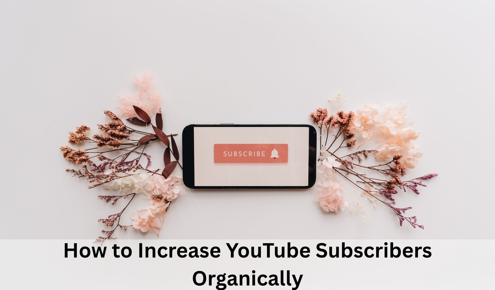 How to Increase YouTube Subscribers Organically